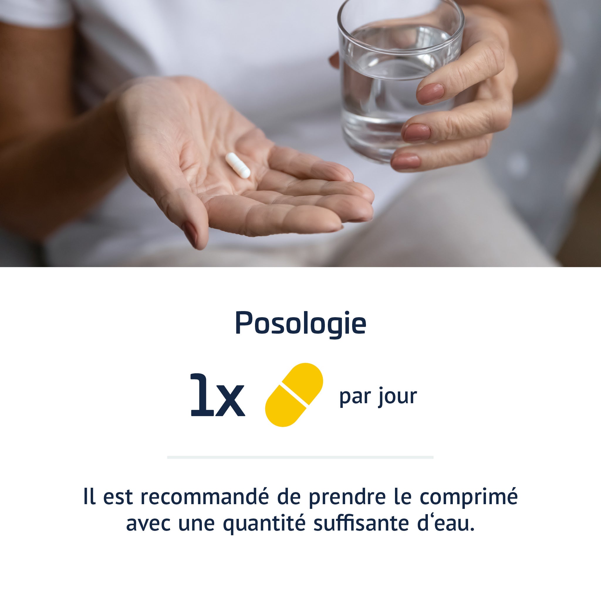 Image sur la posologie. En haut: mains tenant une pilule et un verre d'eau. En bas: titre 'Posologie', avec '1x par jour' et texte: 'Il est recommandé de prendre le comprimé avec une quantité suffisante d'eau.'
