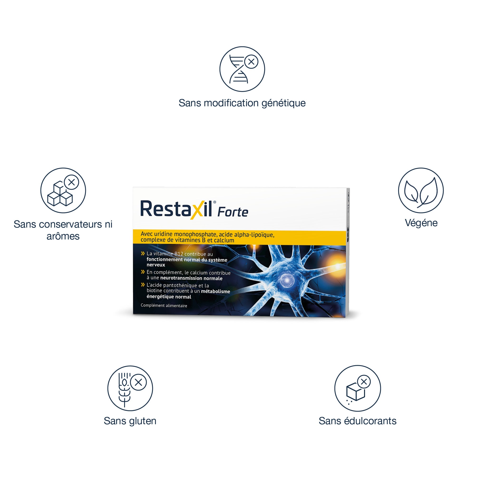Infographie sur Restaxil Forte. Montre boîte produit entourée d'icônes: Sans modification génétique, Végène, Sans édulcorants, Sans gluten, Sans conservateurs ni arômes. La boîte met en avant la B12 pour les nerfs et le calcium.