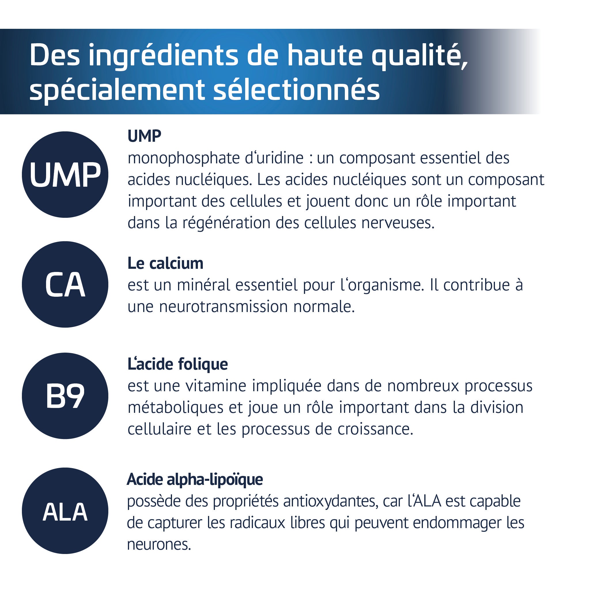 Infographie "Ingrédients de haute qualité". Décrit UMP (pour régénération des cellules nerveuses), Calcium (pour neurotransmission normale), Acide folique B9 (division cellulaire/croissance) et Acide alpha-lipoïque ALA (antioxydant, protège les neurones).